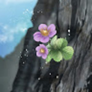 Meet your Posher, Cheyenne